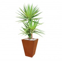 18477 - casa planter - with plants - 345x345x480